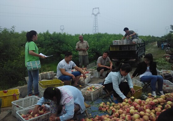 QQ图片20150720105909.jpg