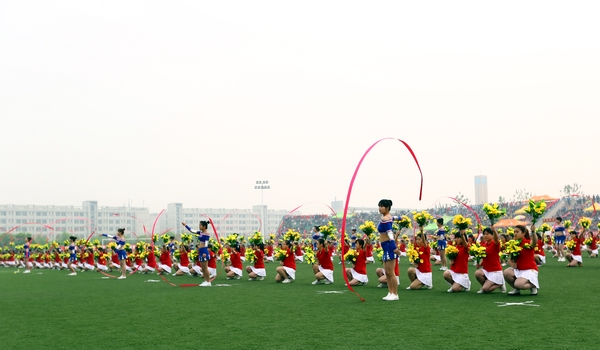 Y15.jpg