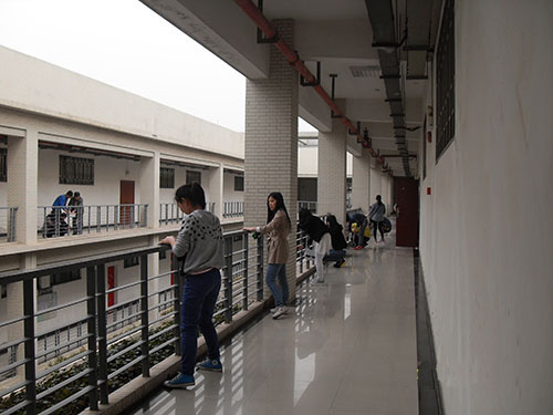 11_学生们在劳动2.jpg