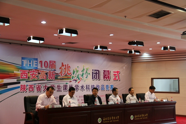 会场.jpg