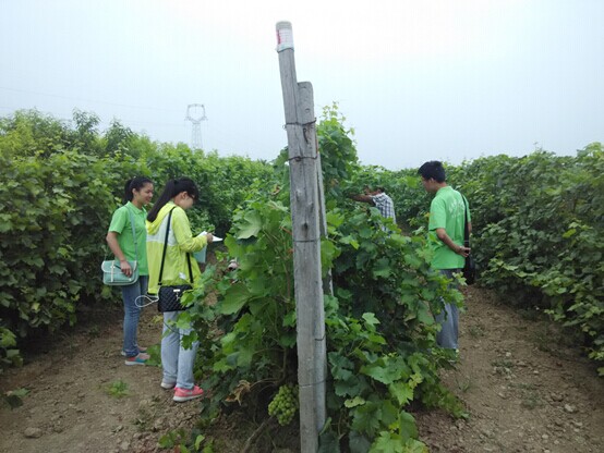 QQ图片20150720105843.jpg
